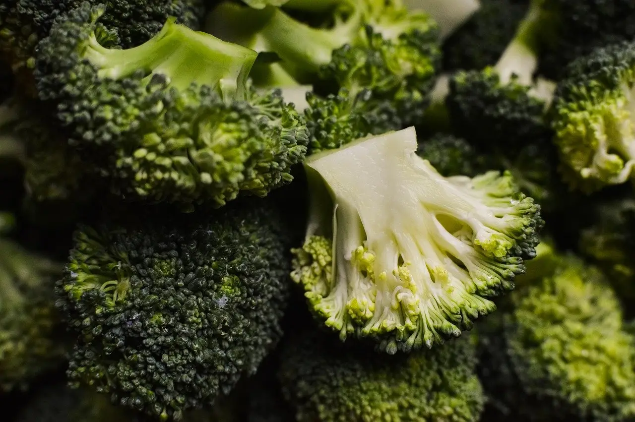 Broccoli: ecco il beneficio anticancro che la scienza ha ufficialmente confermato Broccoli: ecco il beneficio anticancro che la scienza ha ufficialmente confermato
