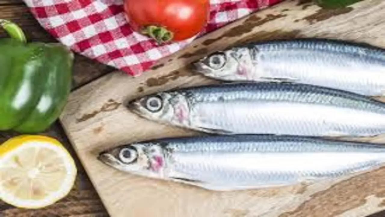 Come congelare pesce azzurro senza rovinare il sapore Come congelare pesce azzurro senza rovinare il sapore