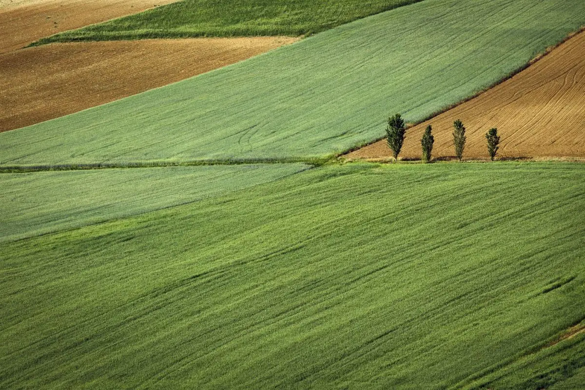 Valore terreno agricolo: ecco cosa cambia con le nuove normative Valore terreno agricolo: ecco cosa cambia con le nuove normative