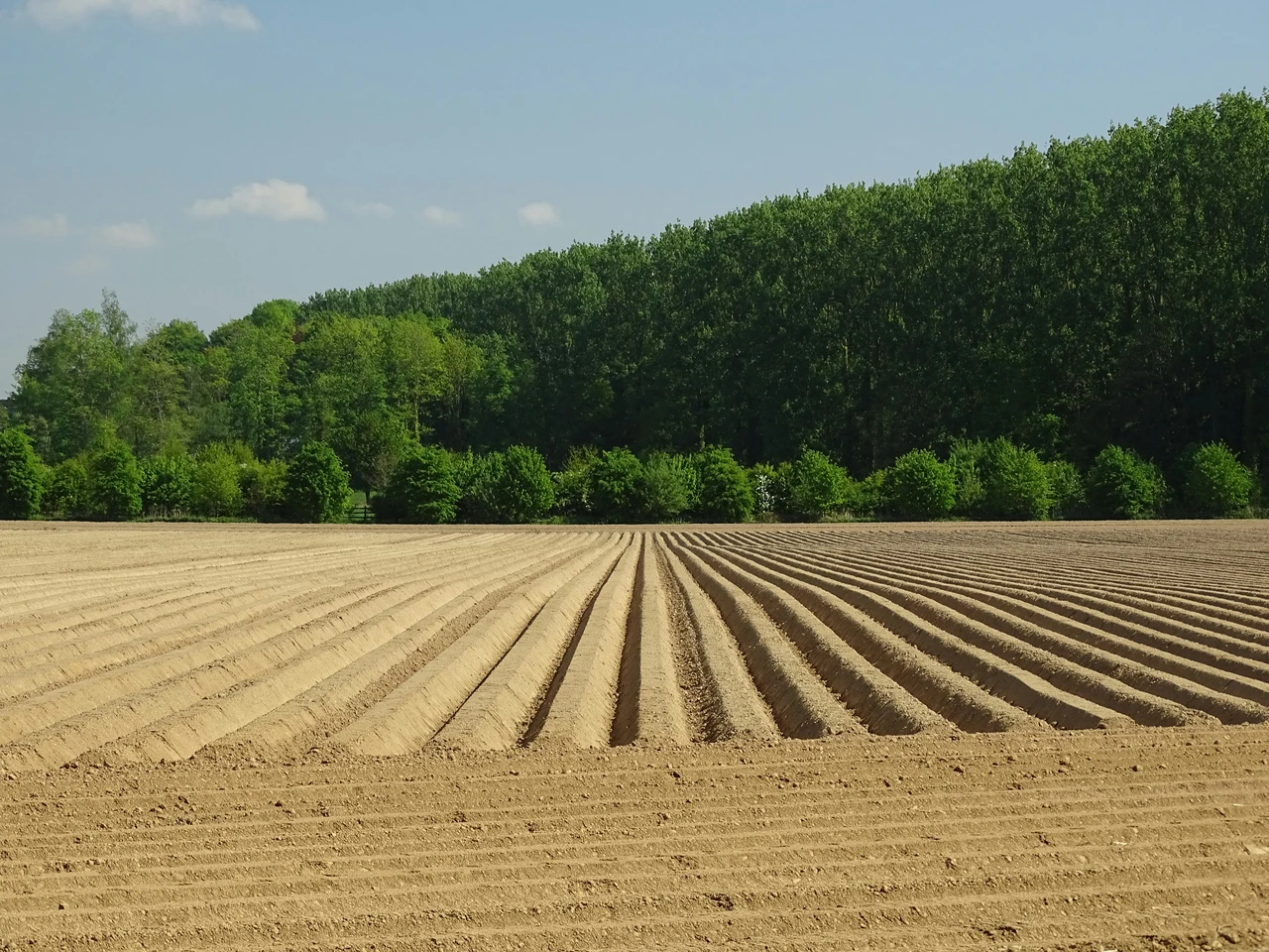 Valore terreno agricolo: ecco cosa cambia con le nuove normative Valore terreno agricolo: ecco cosa cambia con le nuove normative