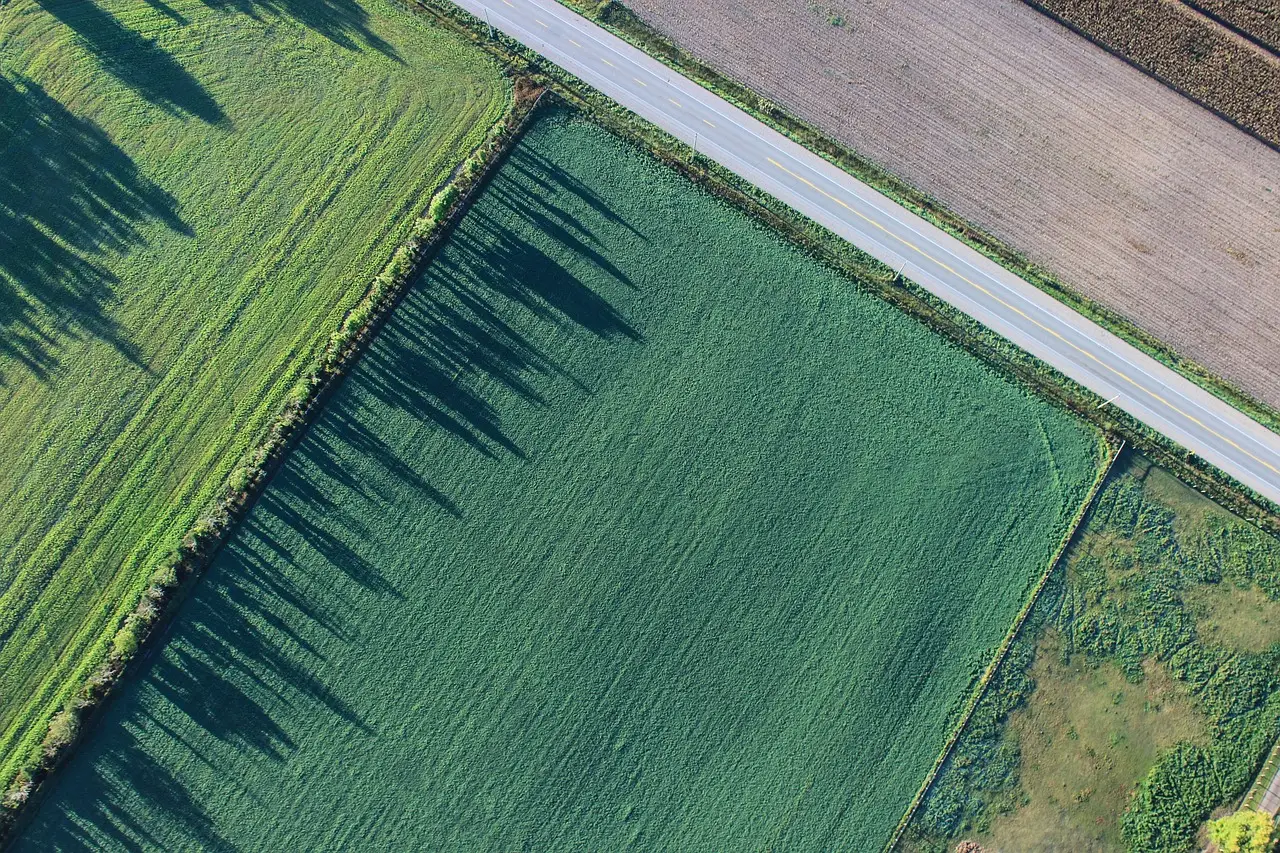 Valore terreno agricolo: ecco cosa cambia con le nuove normative Valore terreno agricolo: ecco cosa cambia con le nuove normative